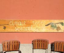 Where to taste Cinque Terre wines