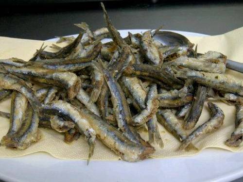 Anchovies from Monterosso