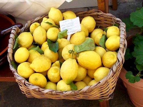 Les citrons des Cinque Terre