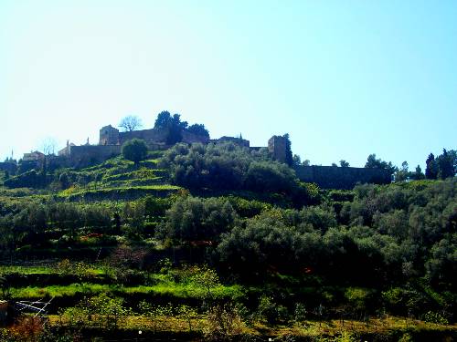 Le cimetière et les restes du château de Monterosso